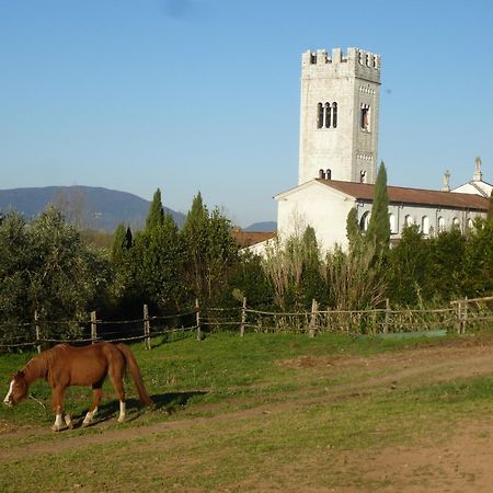 포르카리 Casa Marce A "Sonno" B&B 외부 사진